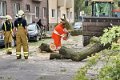 Feuerwehr_Baum   032